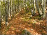 Hruševka - Planina Travnik